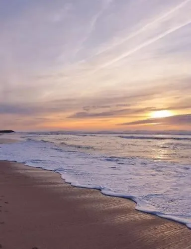 Bohemian Station 아파트